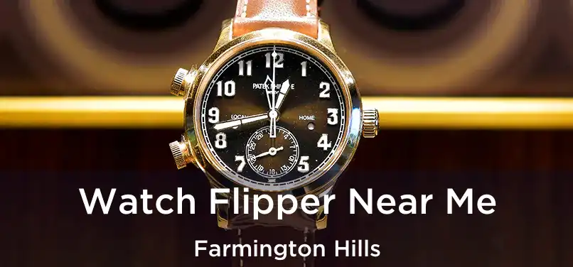  Watch Flipper Near Me Farmington Hills
